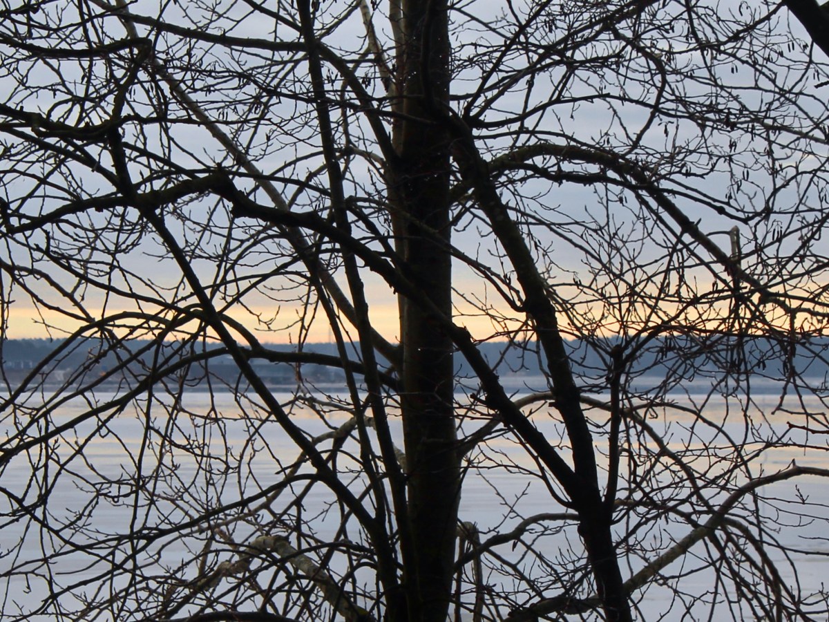 The tale of mental health in a burning&nbsp;world