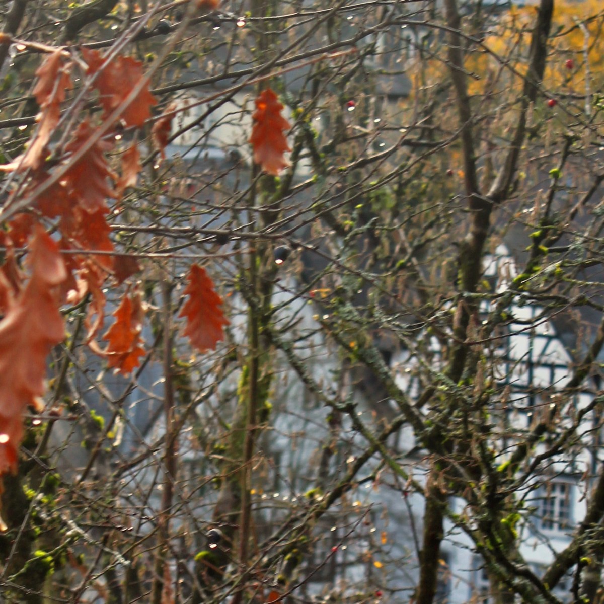 The ongoing struggle of being&nbsp;human