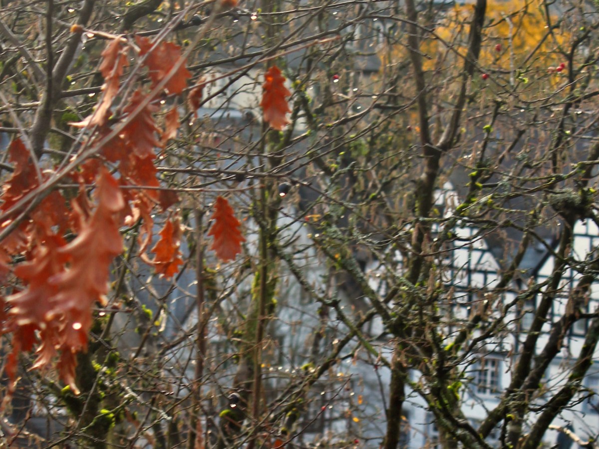 The ongoing struggle of being&nbsp;human