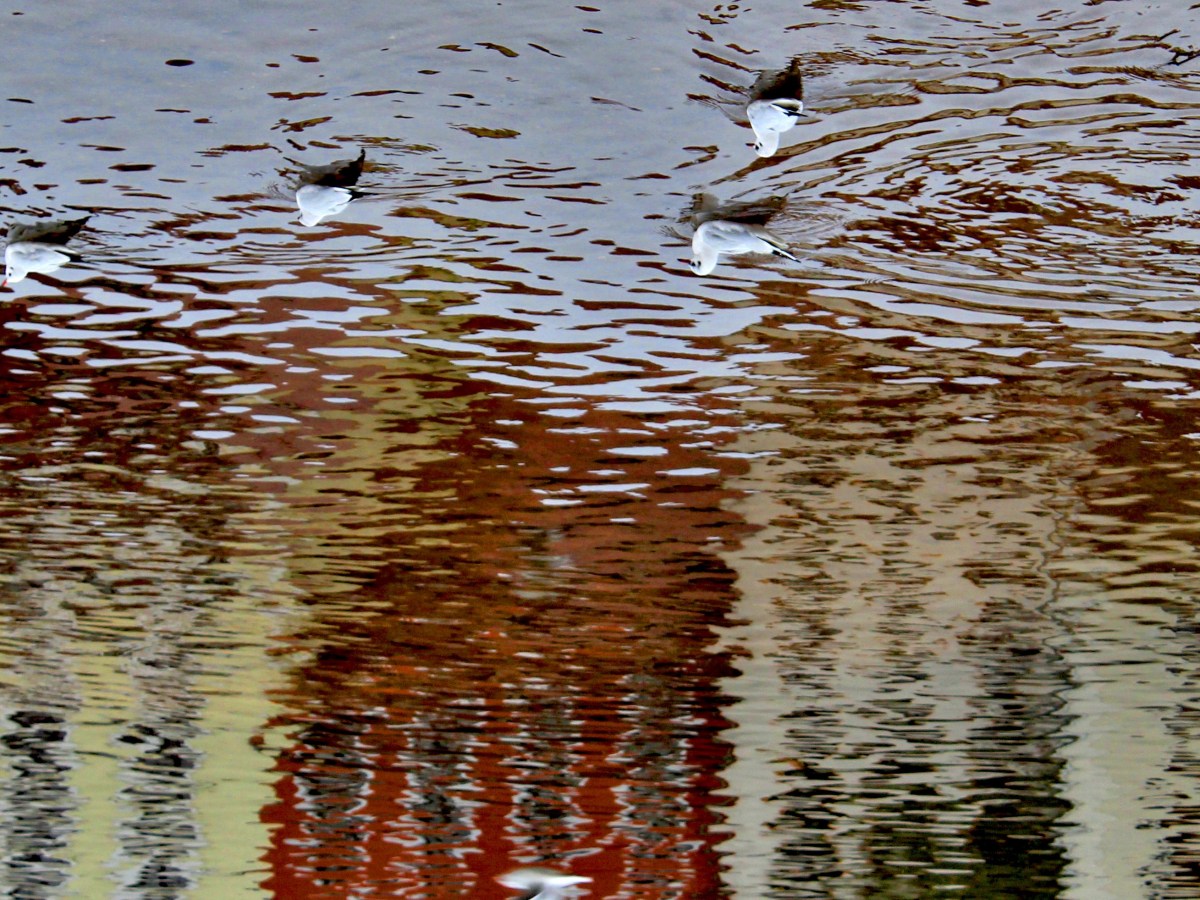 Why my empathy has&nbsp;limits