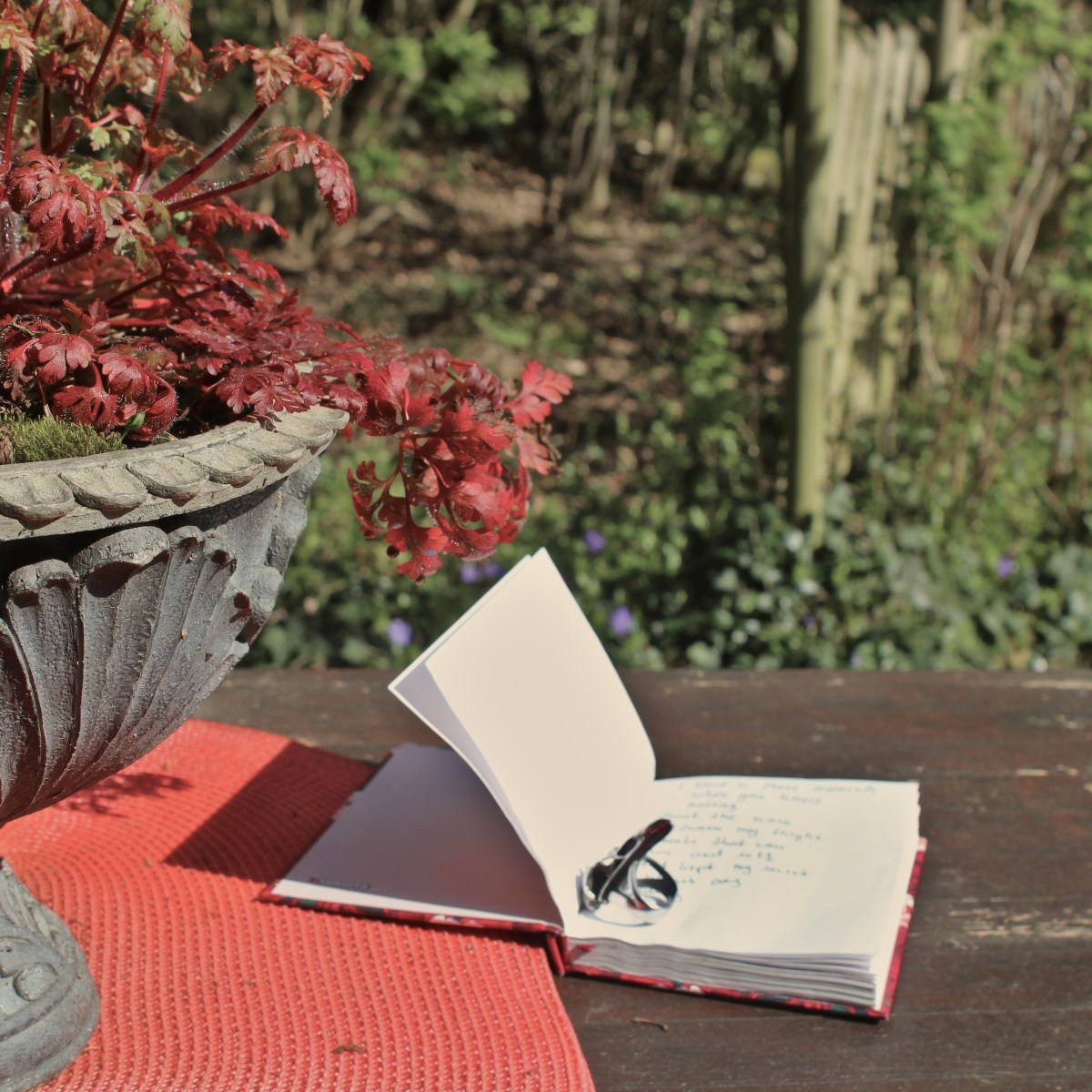 Radical witching novel rewrites at 4&nbsp;AM!