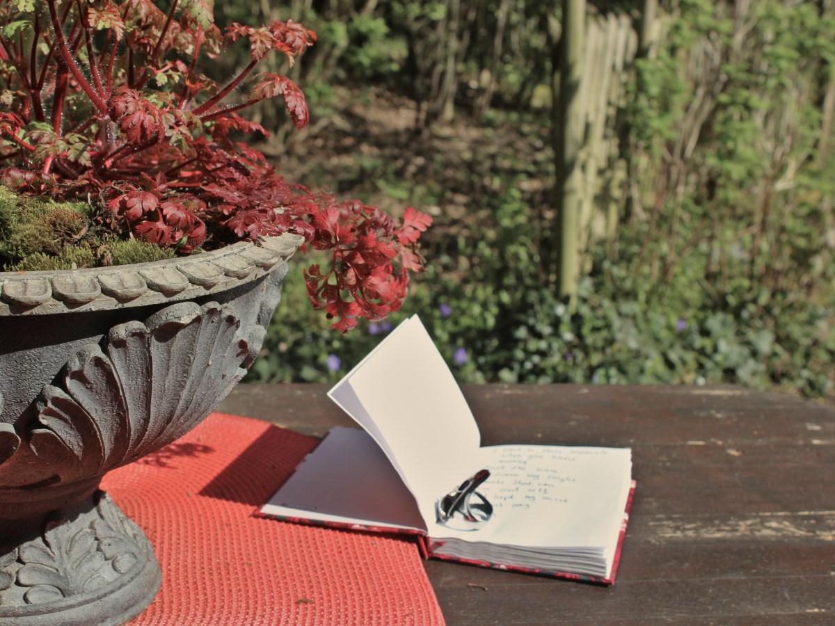 Radical witching novel rewrites at 4&nbsp;AM!