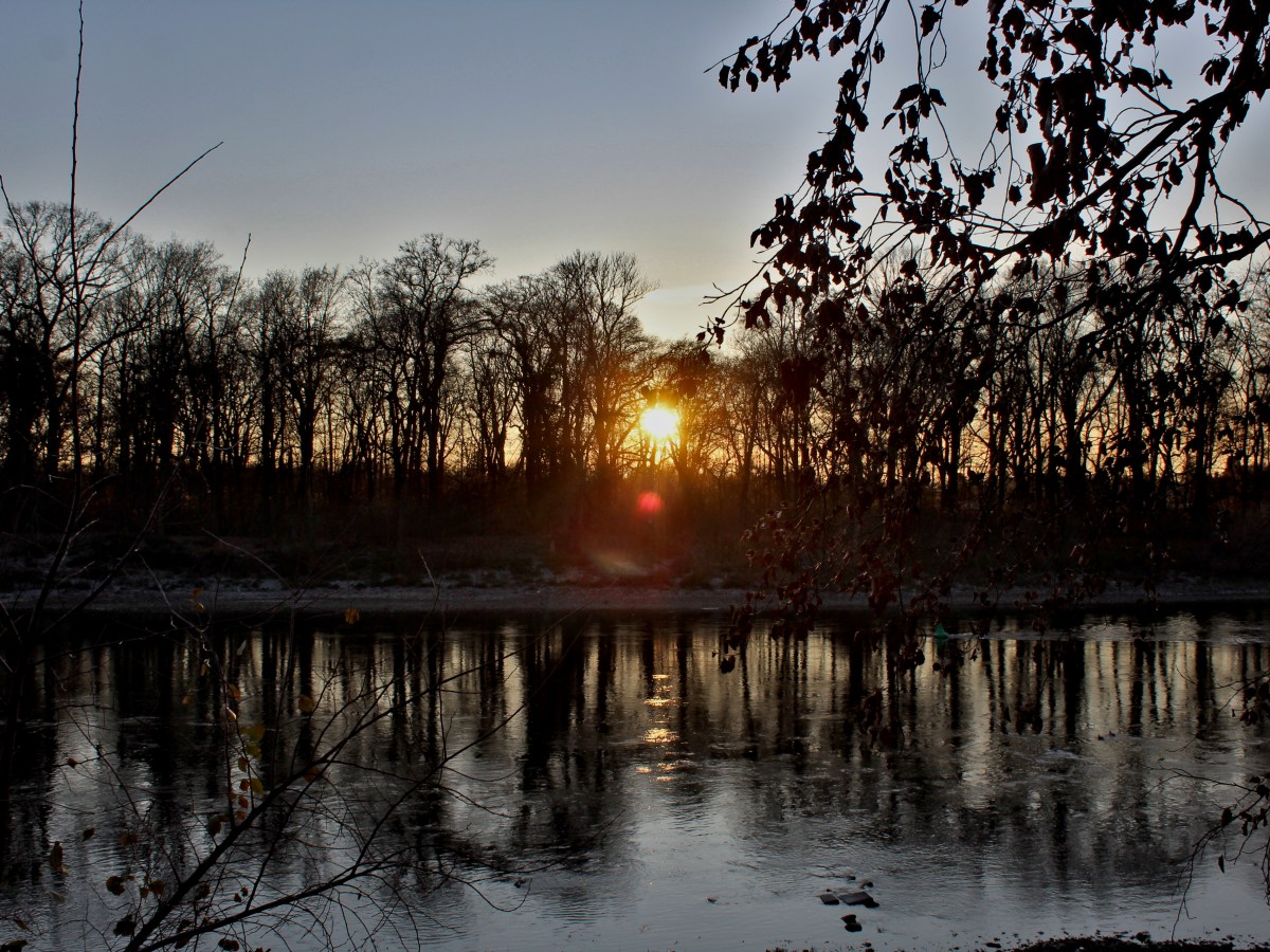 I wish I’d told you all my&nbsp;stories.