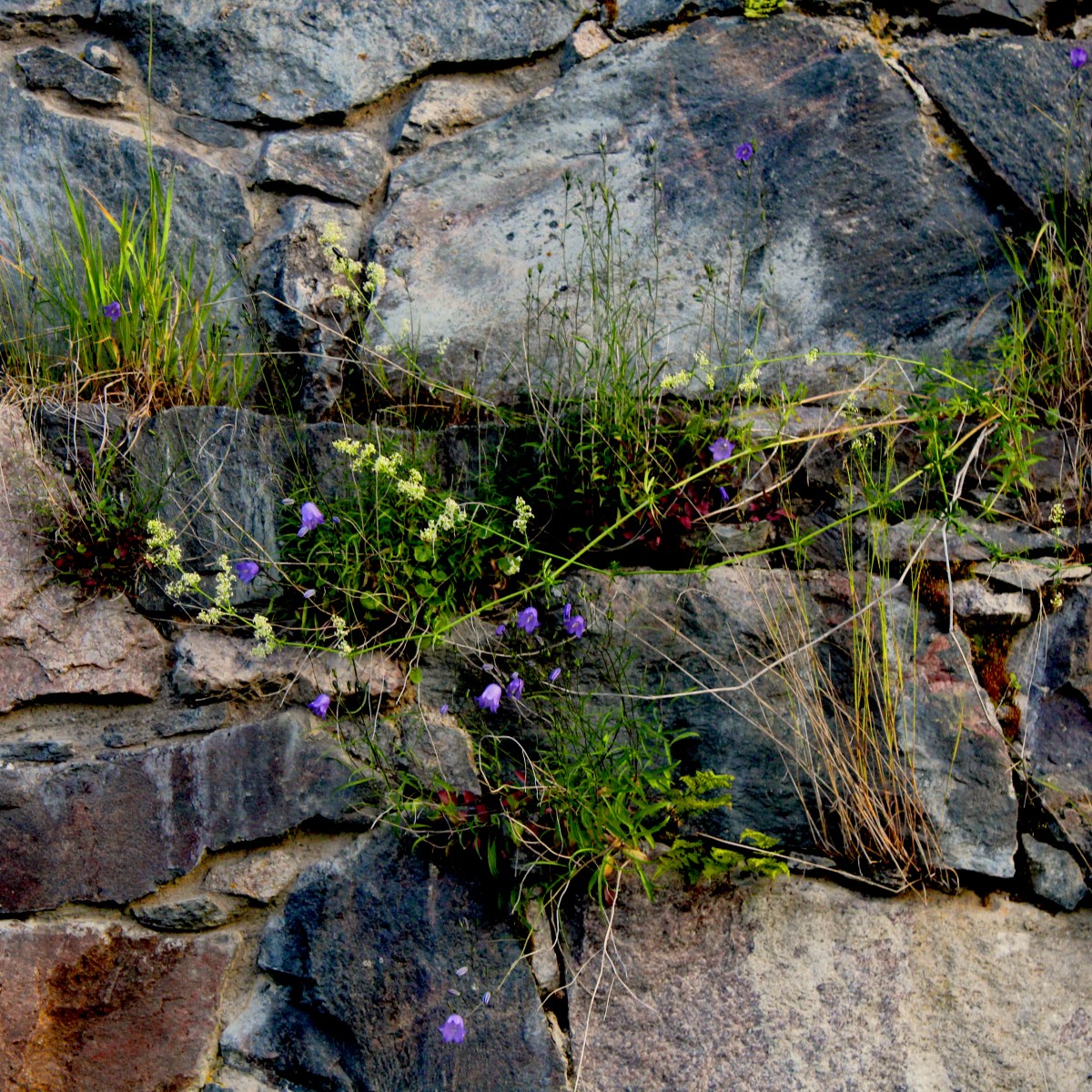A haunted place in the Baltic Sea –&nbsp;Suomenlinna
