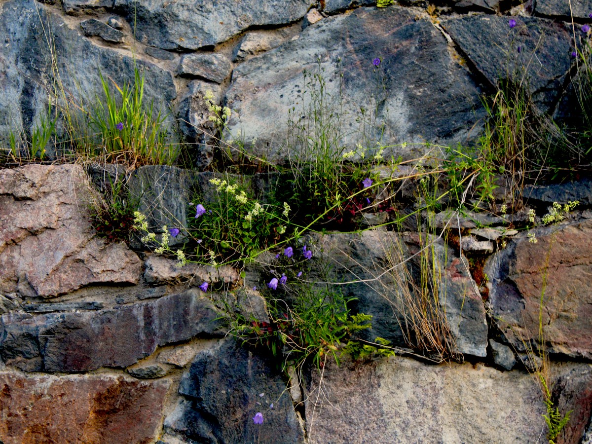 A haunted place in the Baltic Sea –&nbsp;Suomenlinna