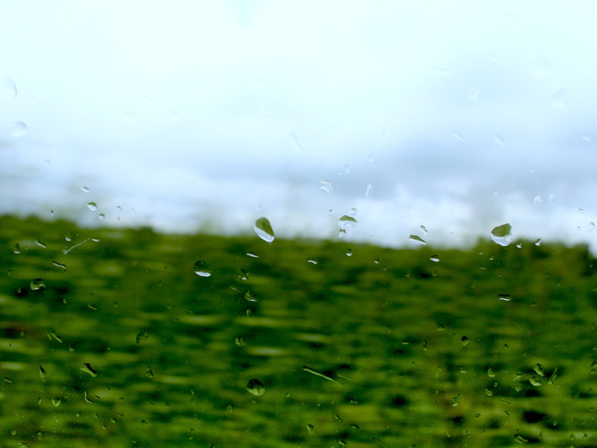 When we fall&nbsp;…